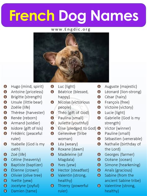 ysl dog name|400 French Dog Names {and their meanings!} .